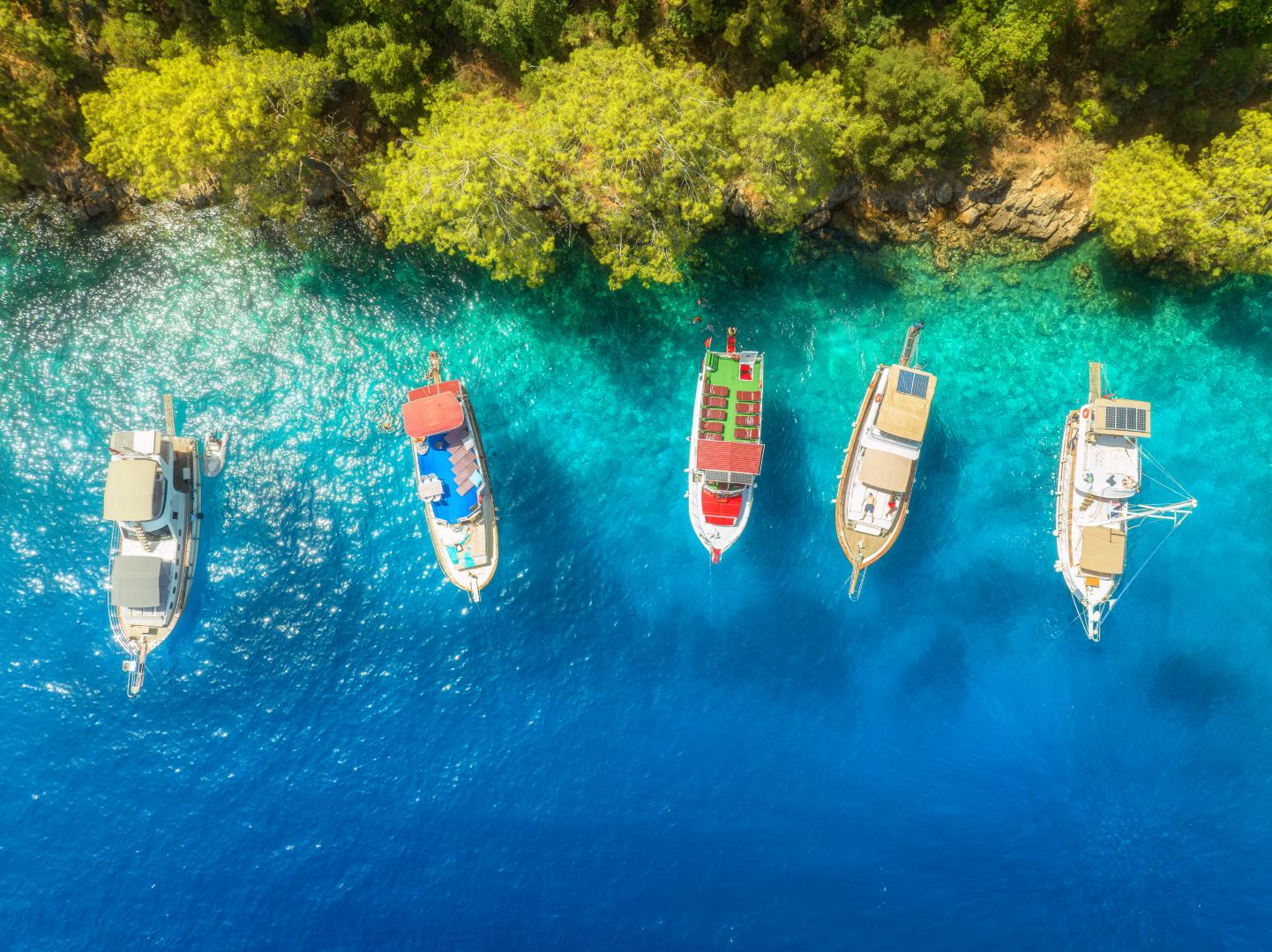 Navigating the Turquoise Waters: An Insider's Guide to Turkey Yacht 