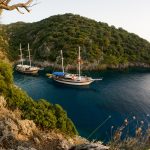 Fethiye to Olympos