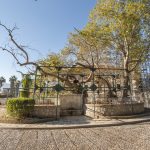 Hippocrates Plane Tree: Physician's Legacy