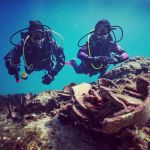 Adriatic Diving: Seaside Adventure