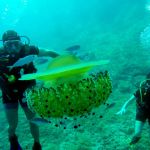 Diving in Makarska Waters