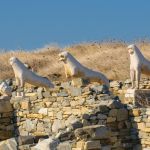 Terrace of the Lions: Iconic Guardians